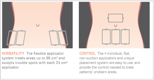 SculpSure Cost By Treatment Area